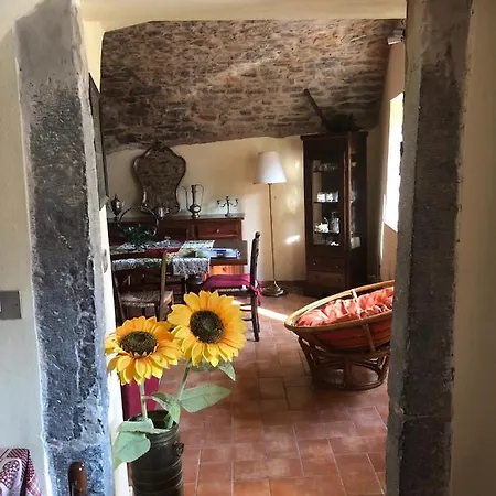 La Casa Del Bosco * Camerata Cornello