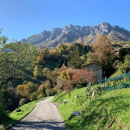 La Casa Del Bosco *