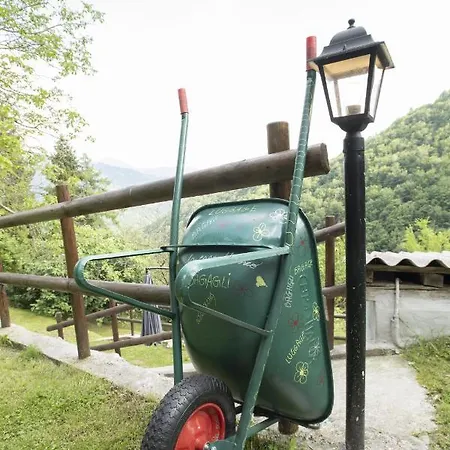 La Casa Del Bosco